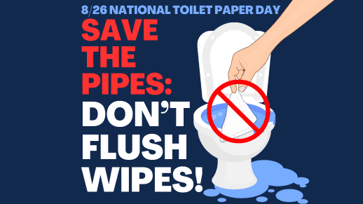 NationalToiletPaperDay (518 x 291 px).png