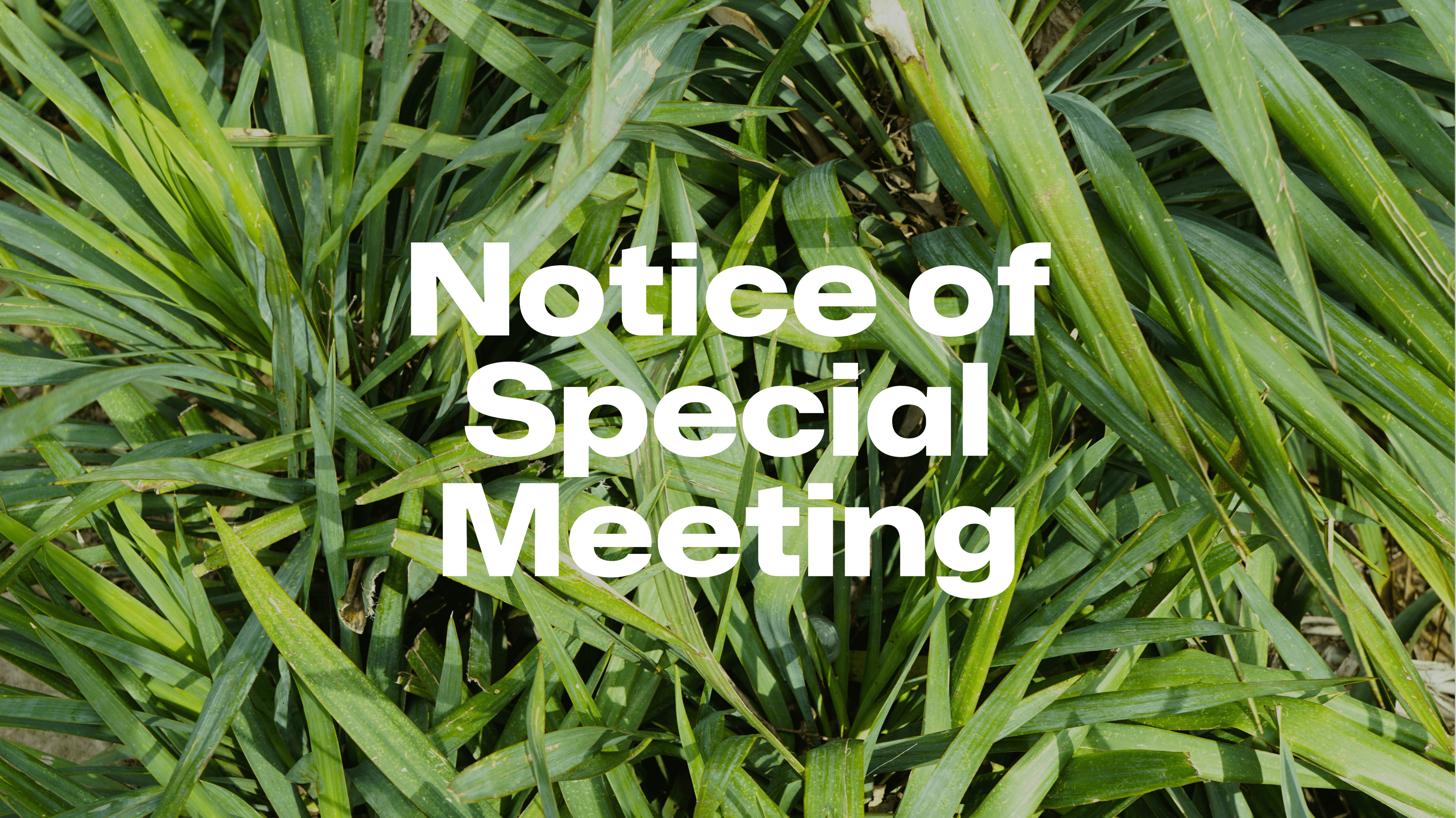 NoticeofSpecialMeeting